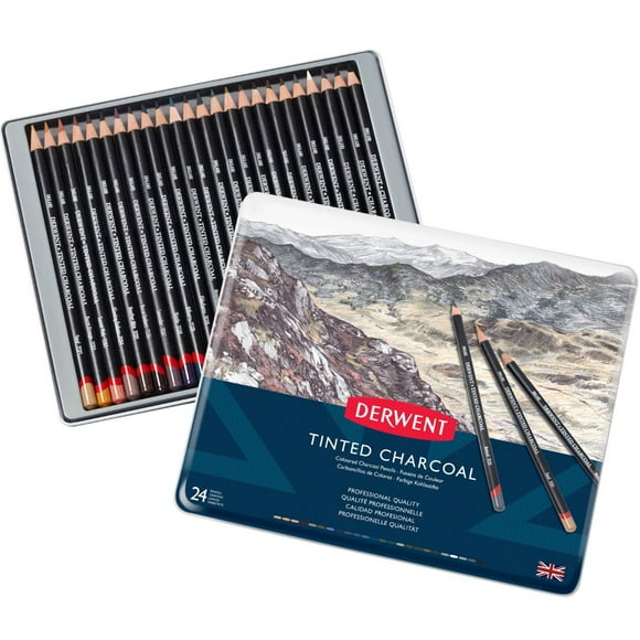 Lápices De Carboncillo De Colores Derwent Set 24