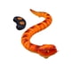 thumbnail image 5 of Juguete Serpiente Control Remoto Bothyi 77cm, 5 of 5