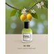 thumbnail image 2 of Perfumes EYFEL para mujer — W158 INSPIRADO EN EL ESCÁNDALO — Eau de Parfum en aerosol — Fragancias para mujer — EDP 50 ml/ 1,76 FL ONZA, 2 of 8
