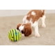 thumbnail image 2 of Juguete interactivo para perros Wobble Wag Giggle Ball como se ve en la televisión, 2 of 9