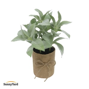 Kiosclub - Salvia Planta Artificial Con Macetero Decoración Sunnyyard