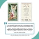 thumbnail image 5 of Tarjeta de oración San Francis Imports con forma de ángel guardián laminada, 5 of 6