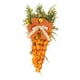 thumbnail image 3 of Decoración De Puerta De Zanahoria De Pascua, Corona De Zanahoria Sintética Para Colgar Para Puerta De Pascua, Sin Conejito, 3 of 3