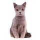 thumbnail image 1 of Cojín Suave Abrazadera Cama Sofá Reposacabezas Ni?os Juguete Gato Relleno Gris, 1 of 5