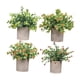 thumbnail image 5 of 4 Piezas De Pequeñas Plantas Falsas En Macetas Pequeñas Para Estante De Escritorio Estilo Hogareño, 5 of 5