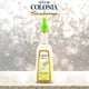 thumbnail image 4 of Body Mist Sanborns Colonia Essence 260 ml para piel sensible, 4 of 5