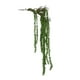 thumbnail image 1 of Helecho Colgante Sauce 110cm, 1 of 3