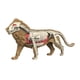 thumbnail image 1 of Modelo De Cuerpo Animal Para El Aprendizaje, Material Didáctico Para Niños Que Estudian En Casa (3108), 1 of 5