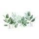 thumbnail image 1 of DIY Planta Verde Hojas Etiqueta De La Pared Calcomanías Extraíbles Para La Decoración Del Hogar Reutilizable, 1 of 5