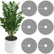 thumbnail image 2 of 6 Piezas 15 7 Pulgadas Planta Maceta Rejillas cortable Planta Maceta Suelo Cubre Protectores De Animales planta Interior Maceta Suelo Protector Para La Protección De Plantas Al Aire Libre Ja, 2 of 3