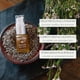 thumbnail image 5 of Suero facial Osmia Restore 13,3 ml, 5 of 7