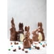 thumbnail image 1 of CONEJITA CHOCOLATE PASCUA, 1 of 2