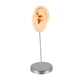 thumbnail image 1 of Accesorio De Exhibición De Joyas Para Aretes, Fotos, Modelo De Oreja De Silicona Para Práctica De Perforación, Piel Izquierda, 1 of 5
