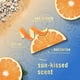 thumbnail image 3 of Ambientador Febreze 4 Recargas Cerezo Japonés, 3 of 9