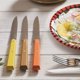 thumbnail image 2 of Cuchillos Opinel N°125 Bon Appétit Agrumes - 4 unidades, 2 of 6