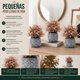 thumbnail image 4 of Set 3 Plantas Artificiales Flores Velo de Novia Decoracion rosa, 4 of 6