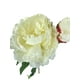 thumbnail image 3 of Peonia Con Boton Blanca 54cm Con Acabado Natural, 3 of 3