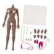 thumbnail image 4 of Escala 1: 6, Forma Europea Súper Flexible, Cuerpo Femenino Sin Costuras, Nueva Piel De Trigo, 4 of 5