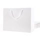 thumbnail image 1 of Bolsas de Regalo MALICPLUS 41x15x30 cm Blanco 12 Unidades, 1 of 6