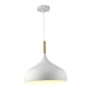 thumbnail image 4 of Lámpara Colgante De Metal, Cubierta De Luz De Moda Para Pasillo, Baño, Sala De Estar, Color Blanco, 4 of 6