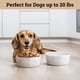 thumbnail image 4 of Juego de cuencos de cerámica para perros HB Design Co. para perros pequeños, 2 tazas, 4 of 6