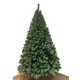 thumbnail image 2 of Arbol De Navidad Con Ramas De Dos Tonos 180cm Sds59, 2 of 2