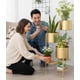 thumbnail image 3 of Porta Macetas Soporte Decorativo Multifuncional Hogar Jhn, 3 of 3