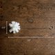 thumbnail image 3 of Cepillo de Esponja para Comederos Backyard Essentials – Individual, 3 of 6