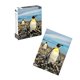 thumbnail image 1 of Puzzle 500 Piezas Fauna Chilena Pingüino, 1 of 2