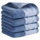thumbnail image 1 of REGALWOVEN Toalla de Mano con Patrón de Diamante, Toallas Faciales Suaves de Algodón Grueso Absorbente para Spa, Baño, Gimnasio, Cocina Azul 4 Piezas, 1 of 5
