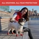 thumbnail image 4 of Botas para perros Protex PawZ Rubber All-Weather S Red for Paws 2.5, 4 of 7
