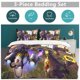 thumbnail image 5 of Plants Vs Zombies Quilt Set Thicken Soft 3 Pieces Bedding Set All Season Duvet Cove with 2 Pillowcases for Adult Women Girls Teens Home Room Decor, 5 of 5