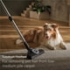 thumbnail image 4 of Aspiradora Miele New Guard L1 en bolsa para gatos y perros, 4 of 9
