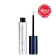 thumbnail image 2 of Sérum acondicionador de cejas RevitaLash Cosmetics RevitaBrow, 2 of 3