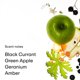thumbnail image 3 of Bruma Corporal PHLUR Moonstone 90 ml Fragancia para Cabello y Cuerpo, 3 of 6