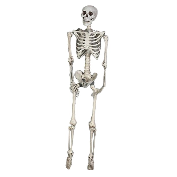 Esqueleto de Halloween Articulaciones móviles Escultura de cuerpo completo, Decoraciones de esqueleto humano de imitación para fiesta en casa