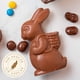 thumbnail image 1 of CONEJO MOCHILA CHOCOLATE SIN AZUCAR PASCUA, 1 of 2