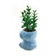 thumbnail image 3 of Planta Artificial Macetero Hipopotamo, 3 of 3