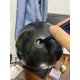 thumbnail image 5 of Herramienta de entrenamiento para bola de boliche EESC2Y, cuchillas biseladas para trazado, accesorios y equipo de boliche con hoja de repuesto de 3/4 para ajuste de orificios para el pulgar, 5 of 5