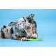 thumbnail image 4 of Juguete masticable para perros Hartz Chew 'n Clean Dental Duo, grande, paquete de 3, 4 of 8