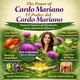 thumbnail image 2 of Té de hierbas HIGH SUPREME Cardo Mariano 25 bolsitas Vegano, 2 of 9
