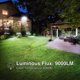 thumbnail image 2 of Flood Lights Onforu, 100 W, para exteriores, 9000 lm, 6500 K, con 3 cabezales, paquete de 2, 2 of 7