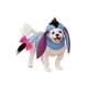thumbnail image 1 of Set de accesorios de disfraz para perros o gatos Disney Winnie the Pooh: Eeyore de Rubies, 1 of 2