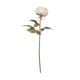 thumbnail image 1 of Planta Artificial Peonia Pastel Crema 55 Cm, 1 of 1