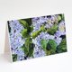thumbnail image 1 of Tarjetas de Felicitación Caroline's Treasures – Pack de 8 (5×7), 1 of 3