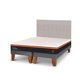 thumbnail image 2 of Cama Europea Bee Comfort King Base Dividida, 2 of 9