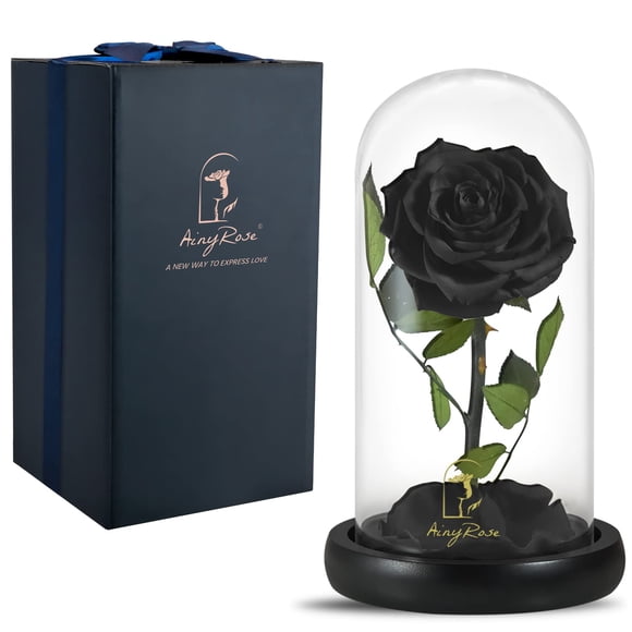 Rosa Negra Auténtica Preservada En Cúpula De Cristal Para Mamá