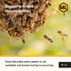 thumbnail image 3 of Sustituto de Polen para Abejas Mann Lake Ultra Bee 18 kg, 3 of 9