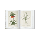 thumbnail image 2 of 40 - Redoute. El Libro De Las Flores, 2 of 9