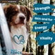 thumbnail image 5 of Multivitamínico Para Perros Nutriforce 44 En 1 120 Tabletas, 5 of 7